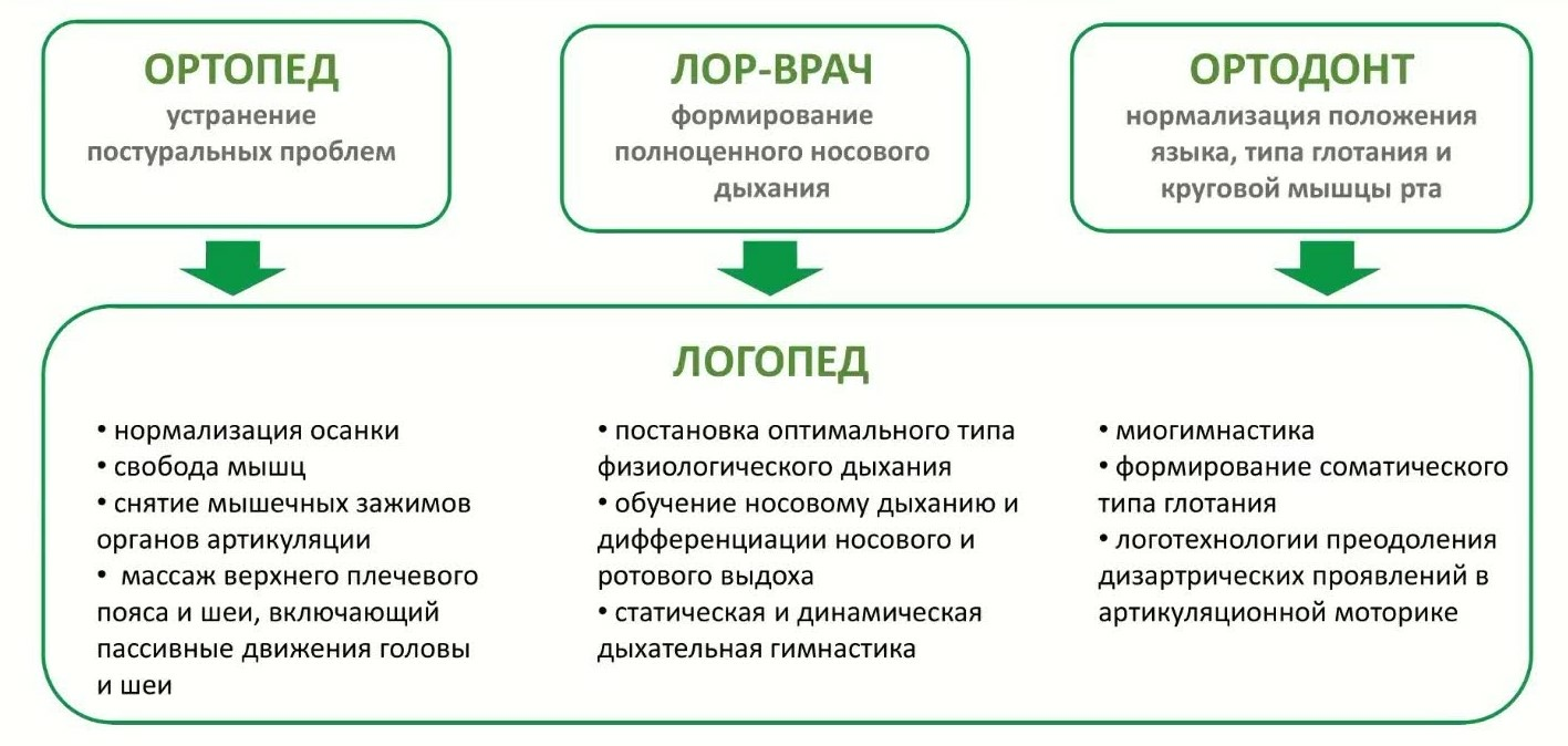 Миофункциональная терапия